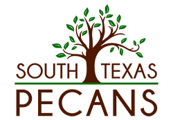 South Texas Pecans