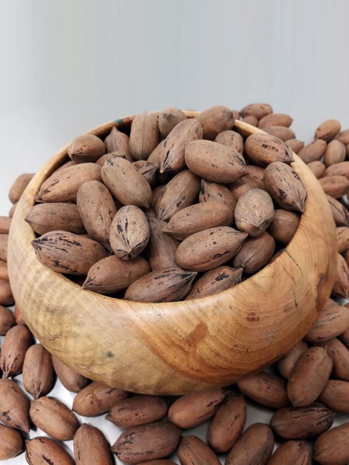 In Shell Pecans South Texas Pecans